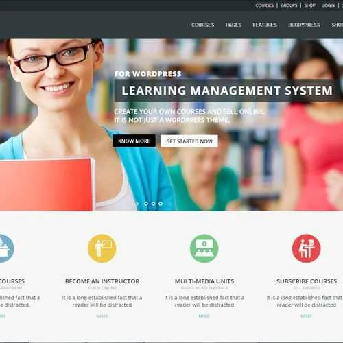 20 temas sites para escolas col gios cursos wordpress 60822 zoom 4 Reinterprets the classic bookshelf