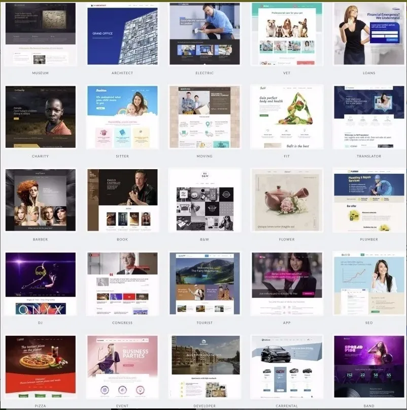 betheme tema wordpress responsivo v20.9.6 360 modelos 18898 zoom Pagina Principal