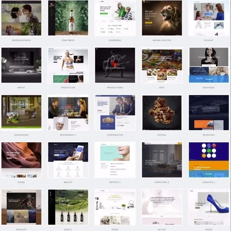 betheme tema wordpress responsivo v20.9.6 360 modelos 40433 zoom Pagina Principal